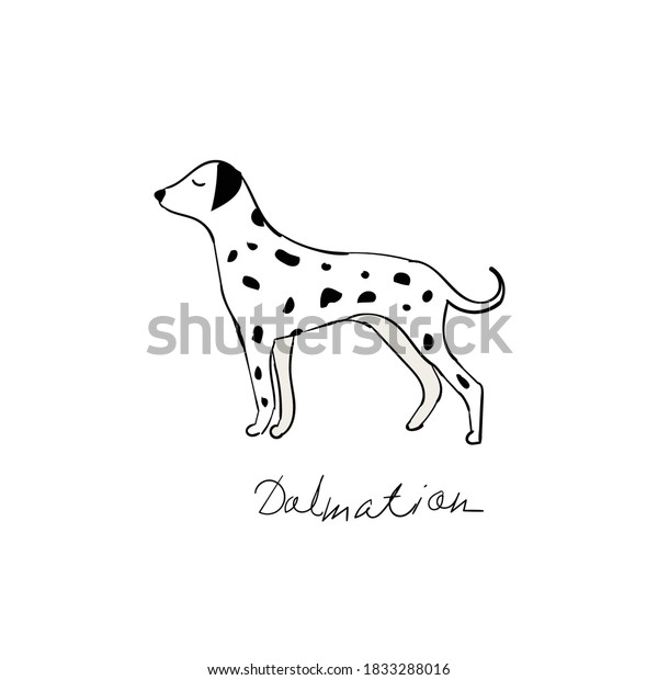 Dalmatian Dog Vector Illustration Cartoon Stock Vector (Royalty Free ...