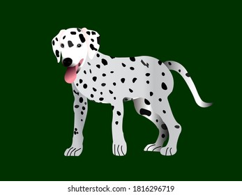 Dalmatian dog vector on green background