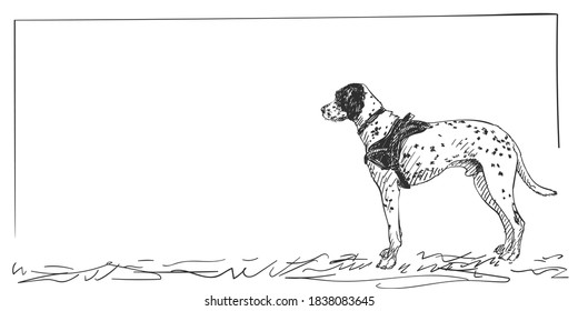 犬の絵 のイラスト素材 画像 ベクター画像 Shutterstock