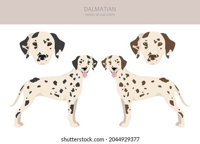 Dalmatian dogs clipart. Different poses, coat colors set.  Vector illustration