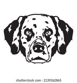 Dalmatian face vector illustration in hand drawn style, perfect for tshirt design and mascot logo
