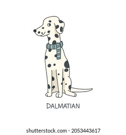Dalmacia. Ilustración vectorial dibujada a mano. Letra de tarjeta flash D 