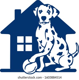 Dalmatian house holds the ball