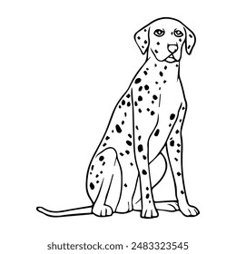 dalmatian line vector illustration,isolated on white background,top view
