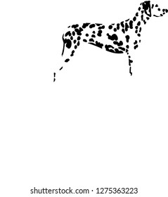 Dalmatian Love with pink silhouette