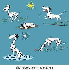 dalmatian playing on the ground