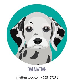 Dalmatian puppy in green circle vector illustration with text isolated on white background. Breed of medium sized dog with unique black spotted coat