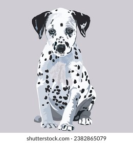 Dalmatian puppy sitting vector illustration