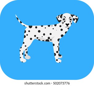dalmatian puppy vector illustration isolated on blue background young dog in a nice rack
