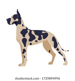 Dalmatian Purebred Dog, Pet Animal, Side View Vector Illustration