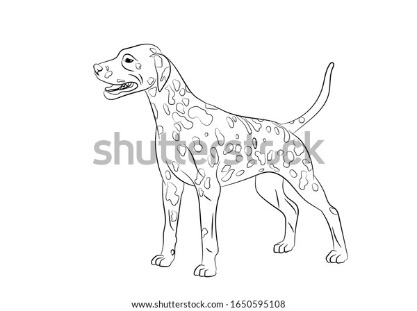 ダルマチアン斑犬 ベクターアウトラインのストックイラスト リアルな線のシルエットロゴ 印刷 タトゥー カラーブック のベクター画像素材 ロイヤリティフリー