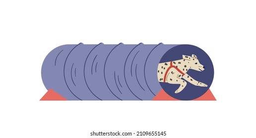 Dalmatian training on agility field flat vector illustration. Dog runs out from agility tunnel. Isolated.