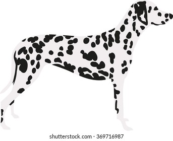 1,781 Dalmatian Logo Images, Stock Photos & Vectors 