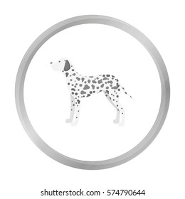 Dalmatian vector icon in monochrome style for web