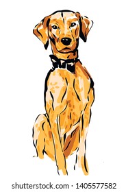 Dalmatian. Vector isolated dog. poster art