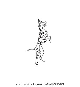 A Dalmatian wearing a party hat on hind legs, as if dancing. Drawn by hand in black and white vectorised.