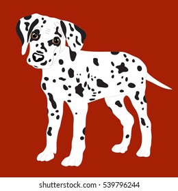 Dalmatians, cute puppy, sad. Vector Illustration Portrait of Dalmatian Puppy. Dog isolated
