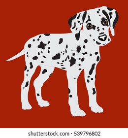 Jack Russell Terrier Vector Illustration Dog Stock Vector (Royalty Free ...