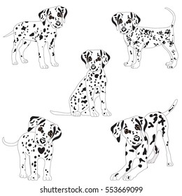 Dalmatians, cute, sad. Vector Illustration Portrait of Dalmatian Puppy. Dog isolated. svg
