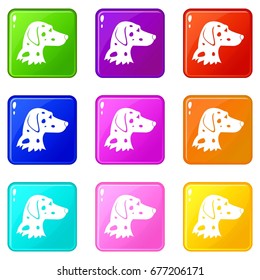 Dalmatians dog icons of 9 color set isolated vector illustration
