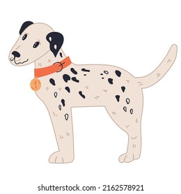 Dalmatians dog lovely cartoon character, flat vector illustration isolated on white background. Domestic pet. Funny hand drawn dog or puppy with black spots.