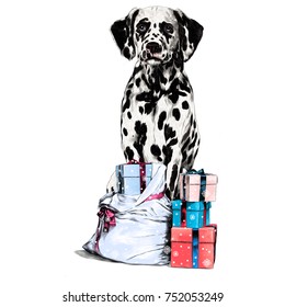 Dalmatians gift sketch vector graphics color picture