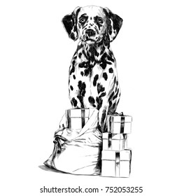 Dalmatians gift sketch vector graphics monochrome black-and-white drawing