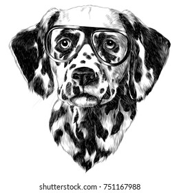 Dalmatians glasses sketch vector graphics monochrome black-and-white drawing