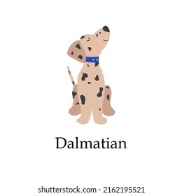 Dalmatinian, single icon in cartoon style. Dalmatinian vector illustration.