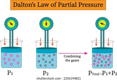 Dalton's Law of Partial Pressure
vector image