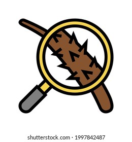 damage hair researching color icon vector. damage hair researching sign. isolated symbol illustration