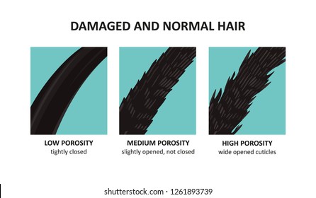 Damaged And Normal Hair