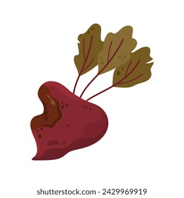Remolacha podrida. Comida vieja de la nevera, ilustración vectorial de dibujos animados de producto caducado mohoso