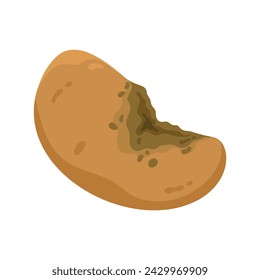 Damaged rotten potato. Bad old unhealthy food from kitchen litter, moldy expired vegetable cartoon vector illustration