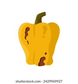 Damaged rotten sweet pepper. Vegetable from kitchen litter, moldy old products cartoon vector illustration