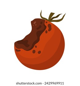 Damaged rotten tomato. Bad unhealthy food from kitchen litter, moldy expired vegetable cartoon vector illustration