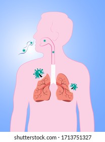 Anatomy Drawing Respiratory Tract Diseases Upper Stock Vector (Royalty ...