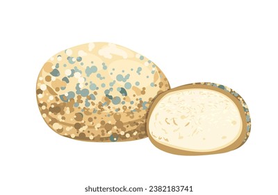 Dambalkhacho,georgian blue cheese from the historical region of Pshavia.Gourmet cheese with blue,white moldy rind.Cut piece ,delicious soft cheese with mold.Flat vector illustration,delicatessen food