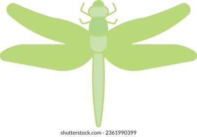 damselfly darter dragonflies bug insect