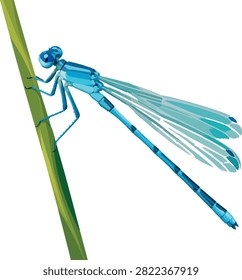 Damselfly perched on reed, three-quarter view, full body, insect decorative vector illustration