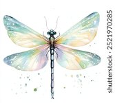 Damselfly watercolor clipart isolated white background 