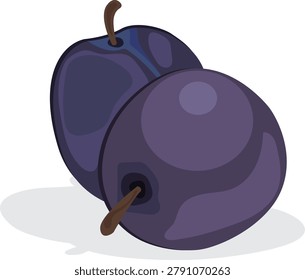 damson, purple damson vector drawing.