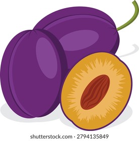 Damson, ripe damson fruit drawing.