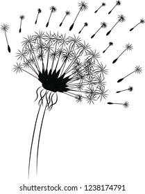 dan ink vector botanical illustration