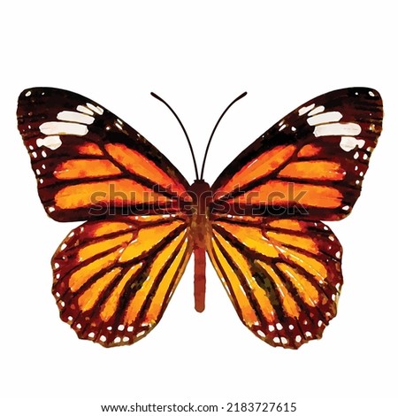 Danaus plexippus. Beautiful butterfly on a white background. Tropical butterfly vector picture. Entomology collection. Watercolor style decoration. Picture for logo, design and greeting card.