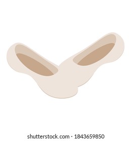 Dance shoes icon. Isometric illustration of dance shoes vector icon for web