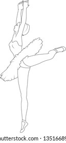 The dancing ballerina in a tutu and pointes