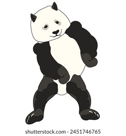 Dancing bear, panda. A contented animal stands on its two legs.
