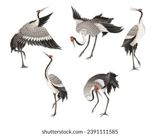 Grúas bailarinas aisladas en diferentes poses. Vector