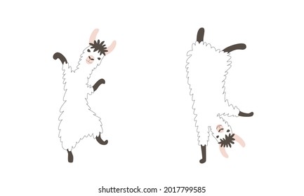 Dancing funny lamas vector illustration. Cute south american animals characters. Good for print, pattern, clothing, textile, nursery design.